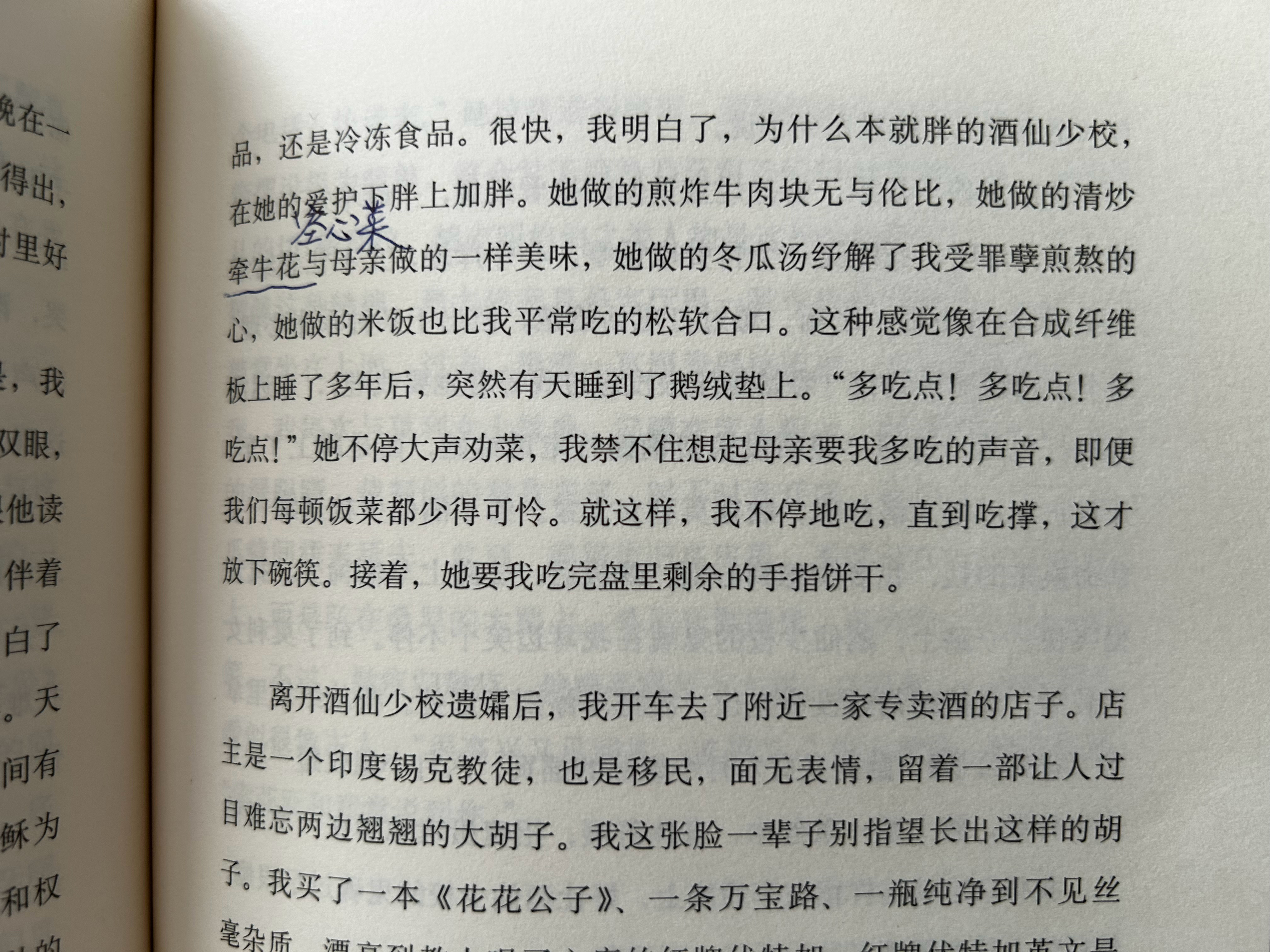 读阮清越这本《同情者》时发现一个很隐蔽的翻译错误，这道菜其实是清炒空心菜，而非清