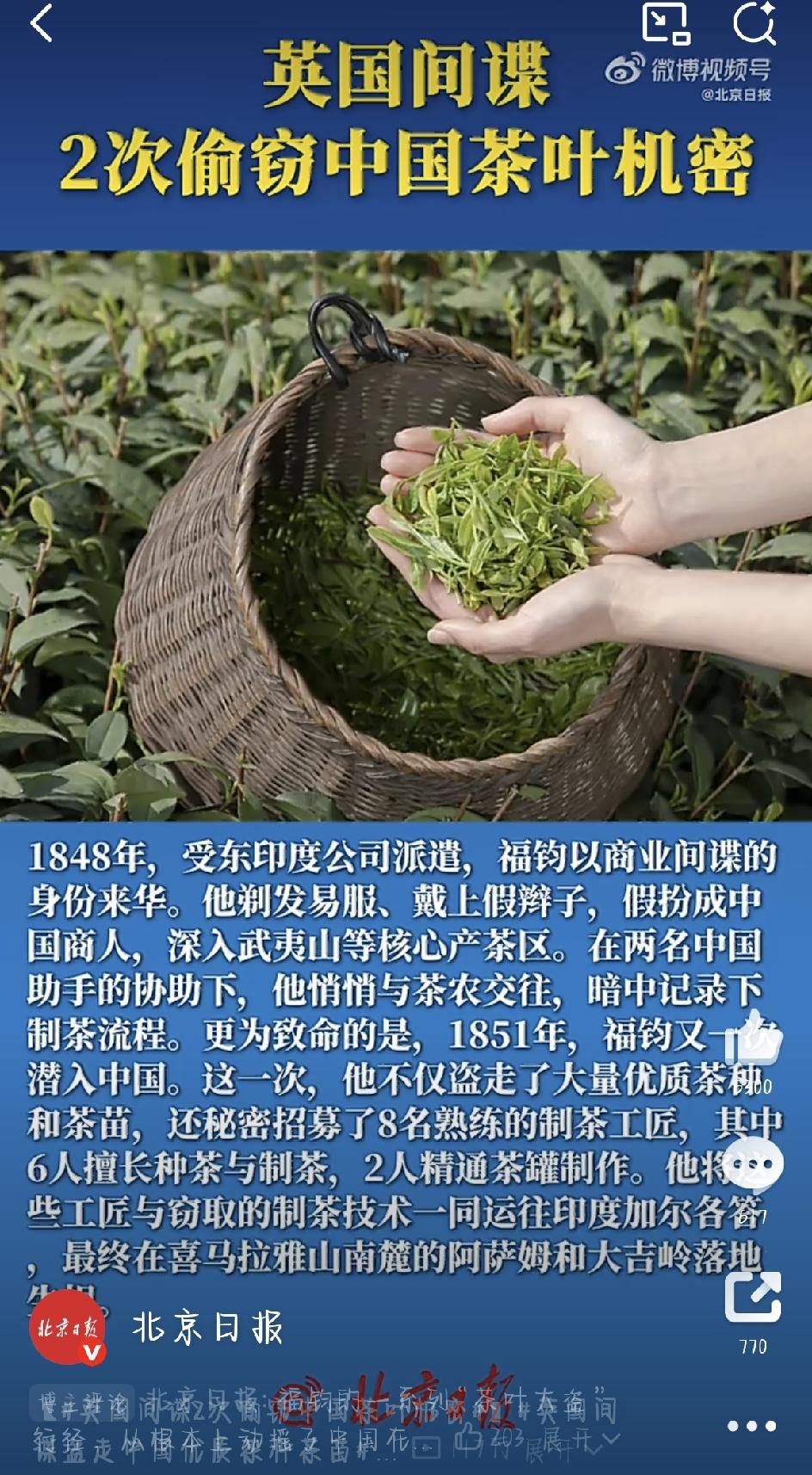 在十九世纪，茶叶可是咱们中国实打实的“绿色黄金”。靠着茶叶出口，中国长期垄断着全