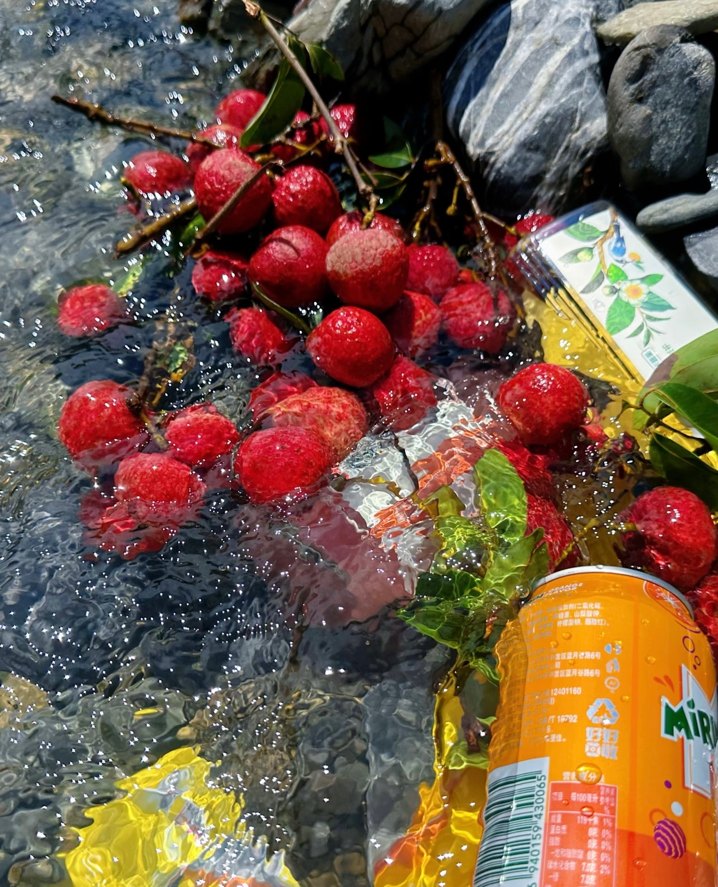 𝒲𝒶𝓉𝑒𝓇 🍉🍇  泡在水里的快乐  是空调给不了的 