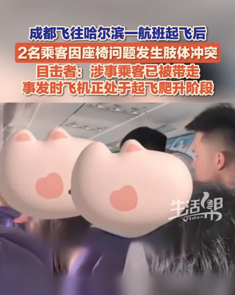 国内一航班爆发恶性斗殴冲突！成都飞哈尔滨的龙江航空LT6618班机上，刚离地正处