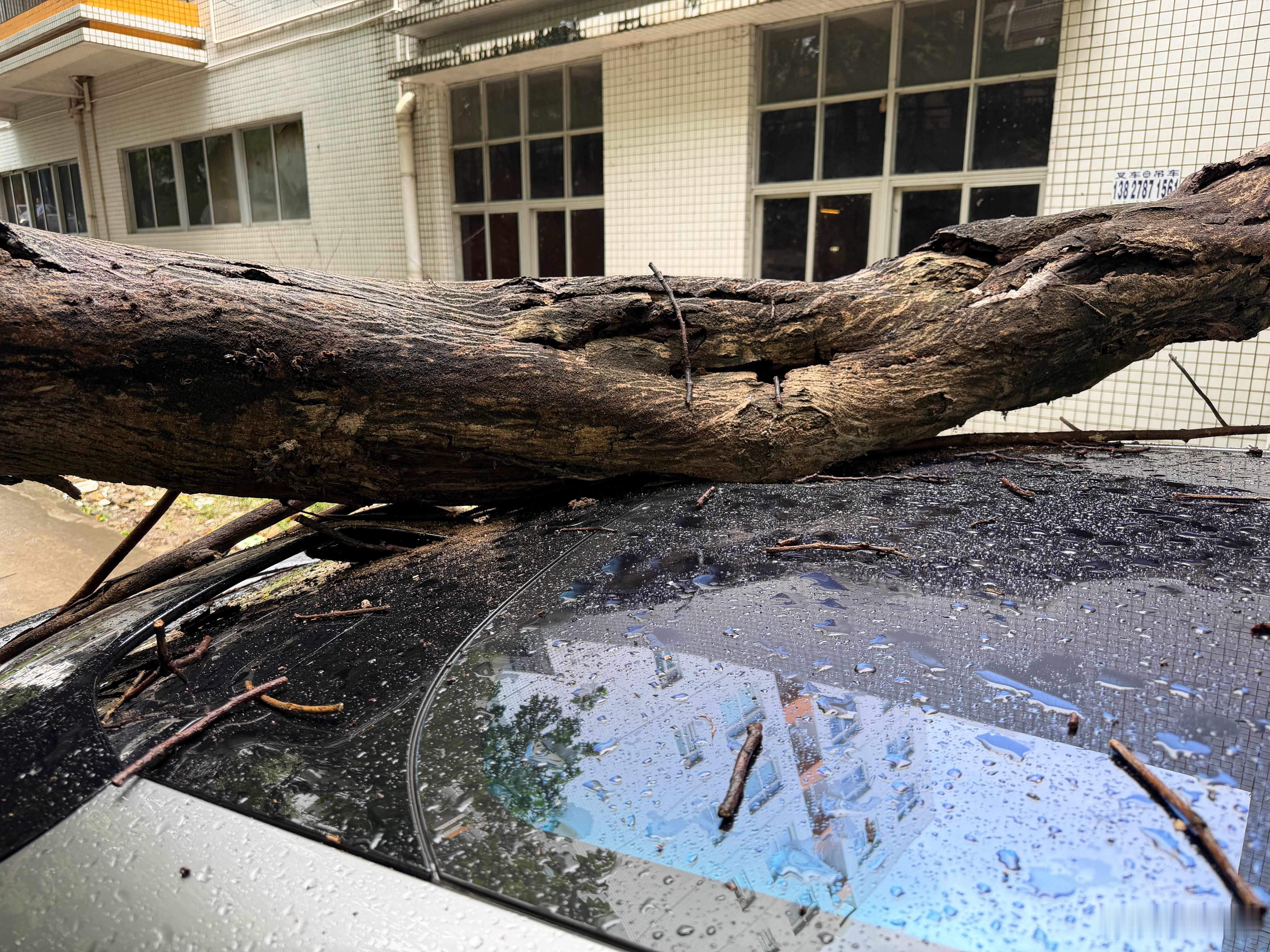 发帖求问：广州大暴雨…我们开车回公司的时候，在停车场入口被树砸了…这种情况责任归