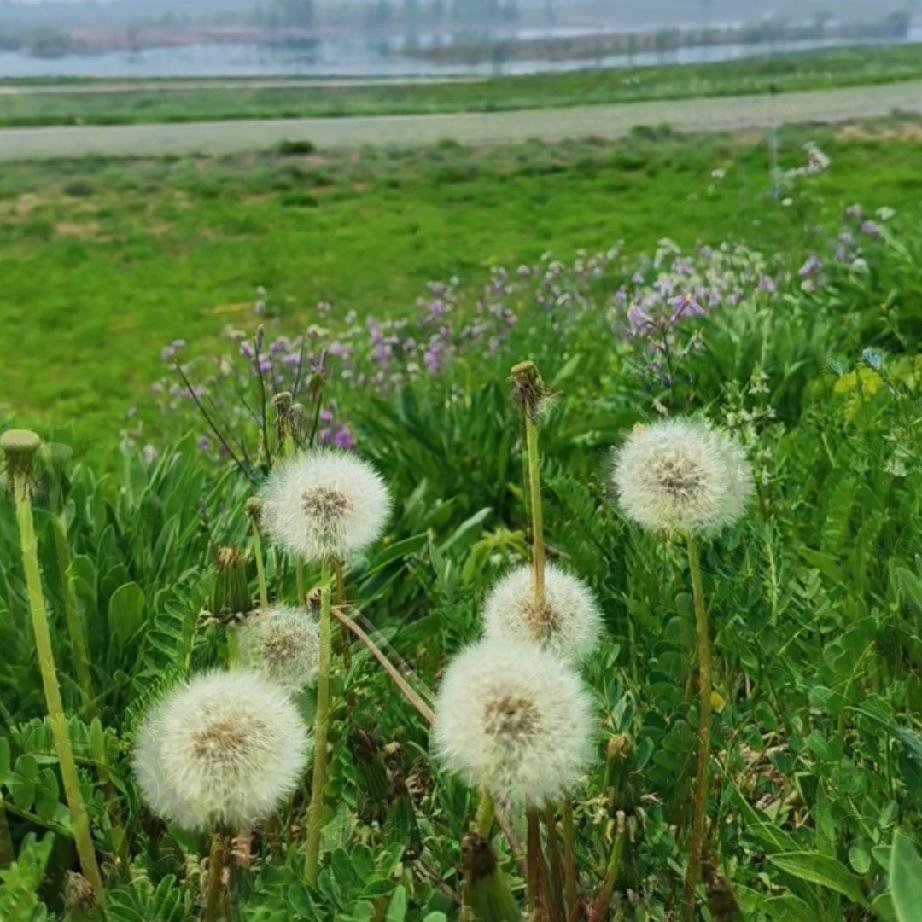 如果他不回我消息了，怎么办呢？

其实不回你消息就是答案，有时候没必要非要问清楚