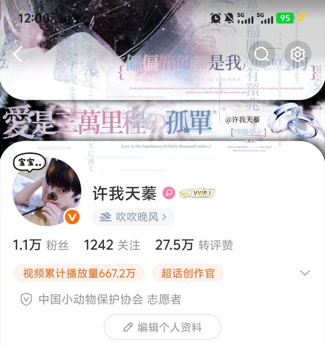 6.1限定 我的儿子 