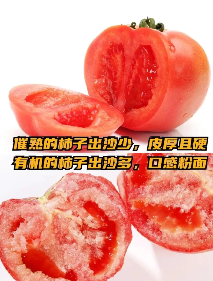 我们吃的西红柿全是催熟的，只要没花有机的价钱，那种只有五六块钱或者以下一斤的，基