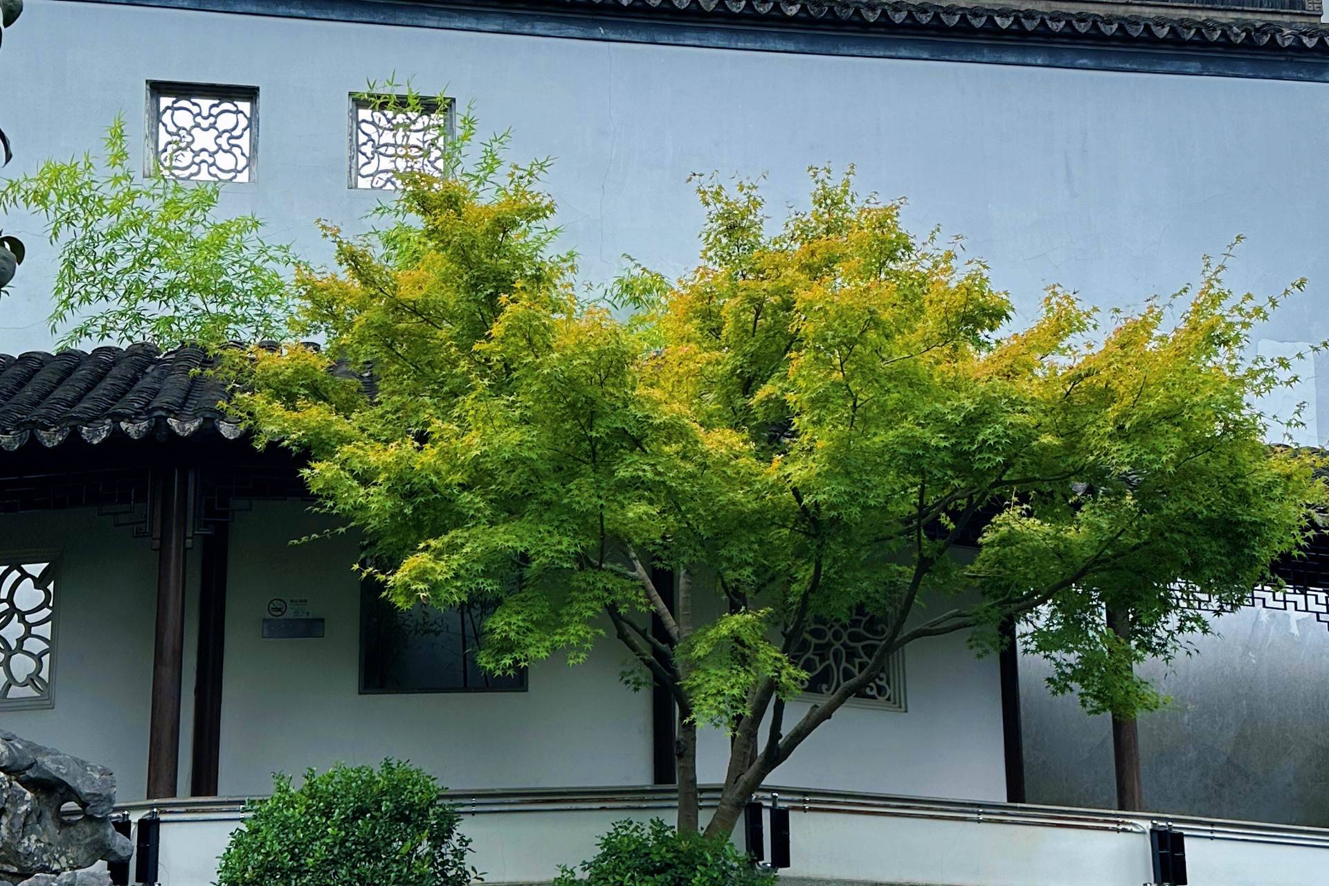 只要心向阳，不管黑暗，走到哪都光明。只要心胸开阔，不管世界再小，走哪都有你一片天
