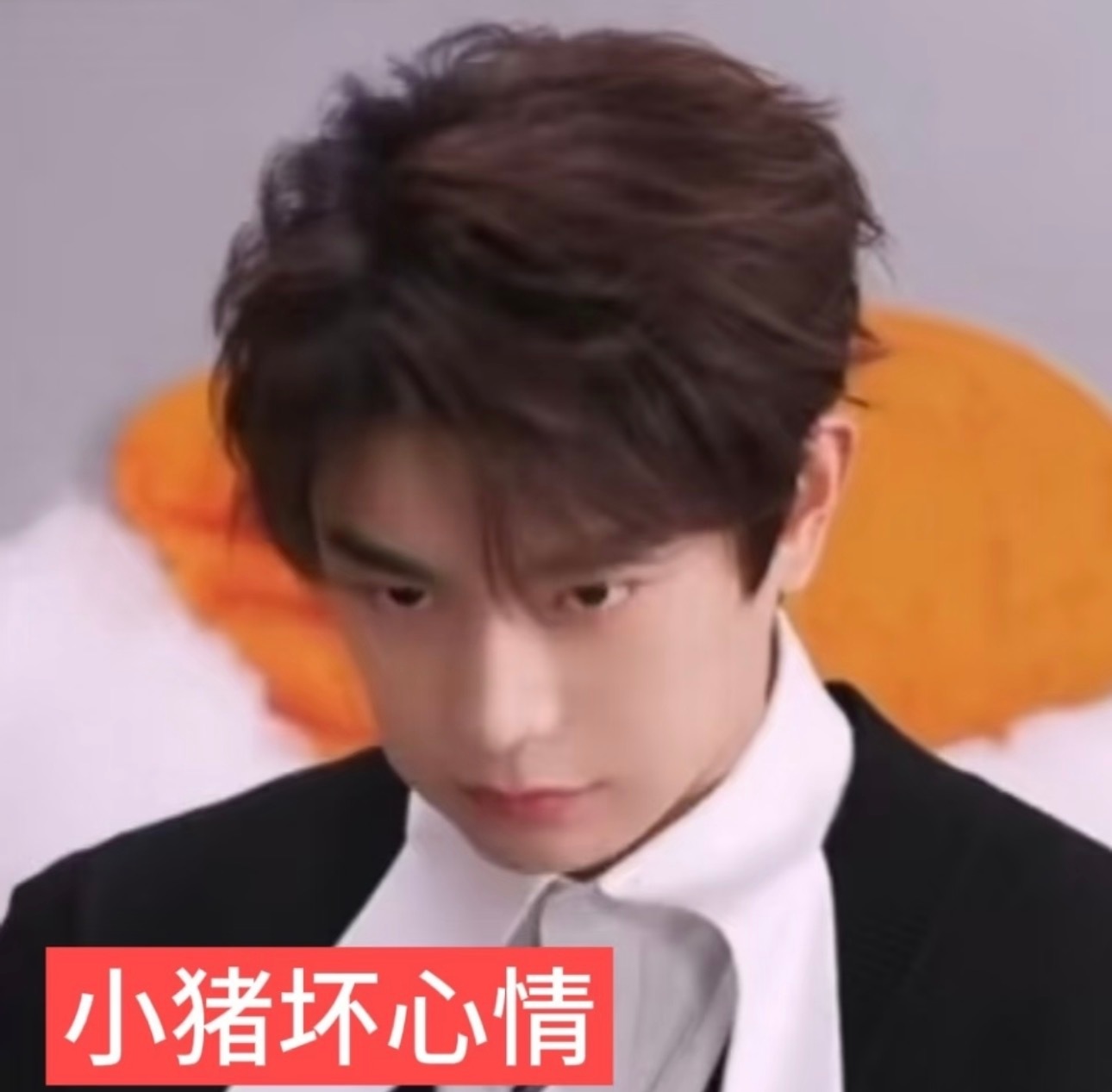 今天只能看见个皮鞋跟后脑勺吗 ​​​