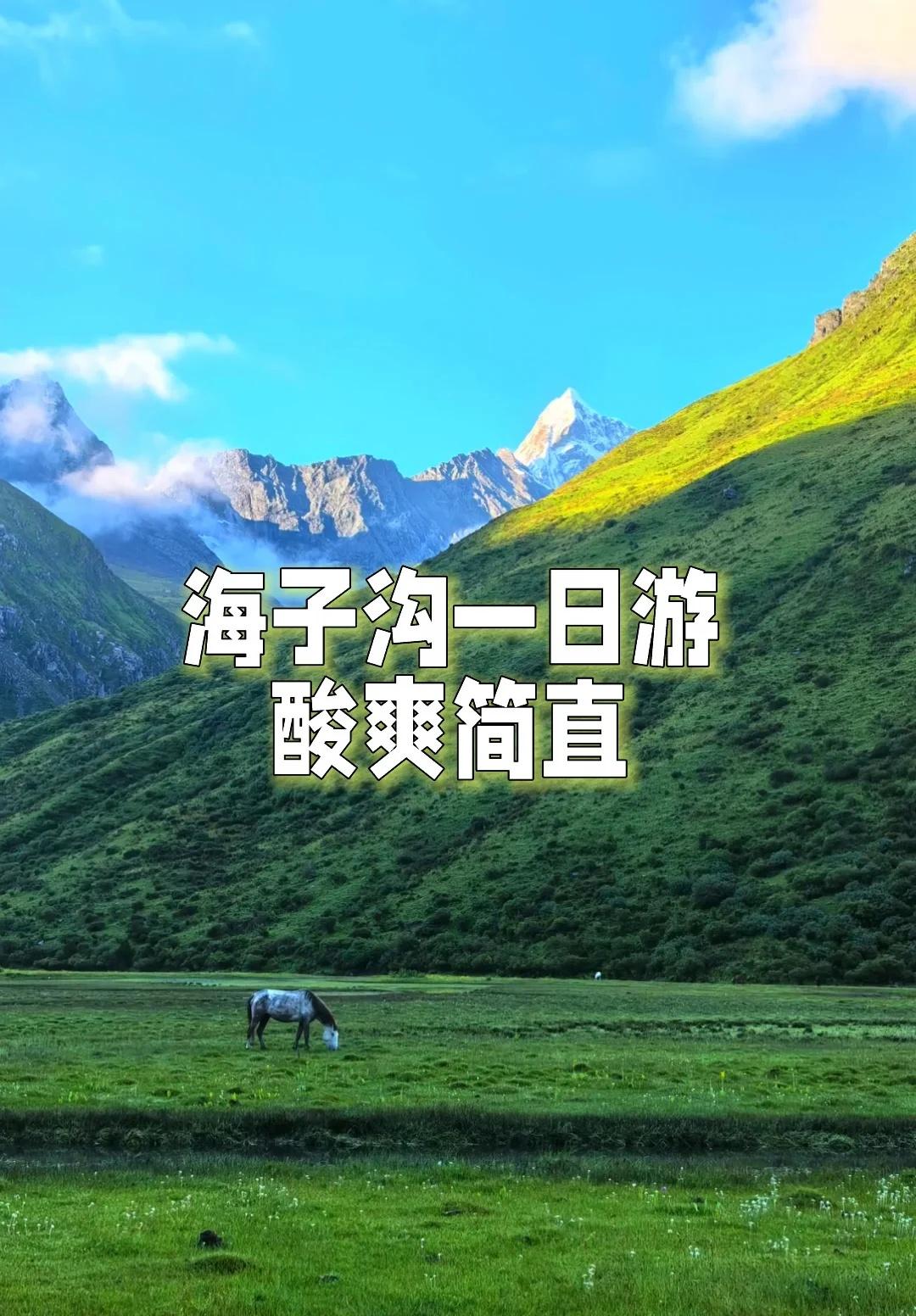 天上是云，地上是绿海⛰️
海子沟比较短，所以全程都是徒步，这里没有观光车
🎫: