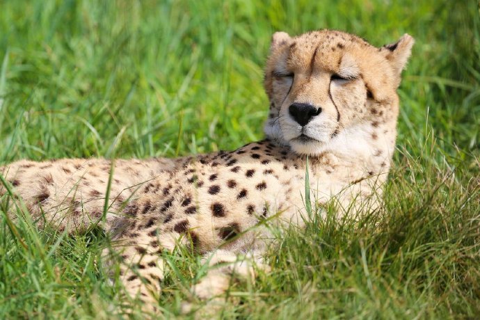 你们就不能注意下仪容仪表吗不要觉得自己长得好看就可以为所欲为！