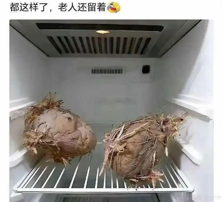 老一辈子就是节约，殊不知电费都比他们贵 