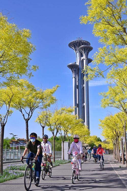 北京奥林西路慢行绿道打通长达十三年的交通断点后，迅速成为京城新晋骑行打卡胜地。这