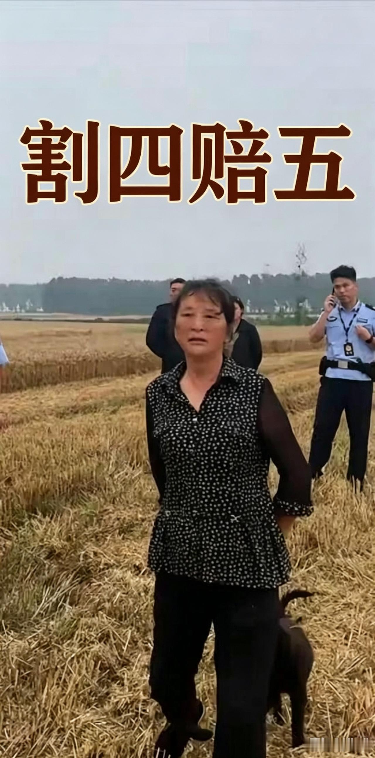 割四赔五与提灯定损