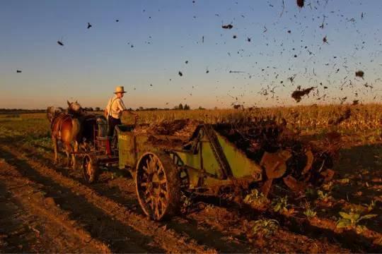 【美国农民为何对中东局势如此焦虑 】

 中东战火像一把钳子，掐住了美国农民的春
