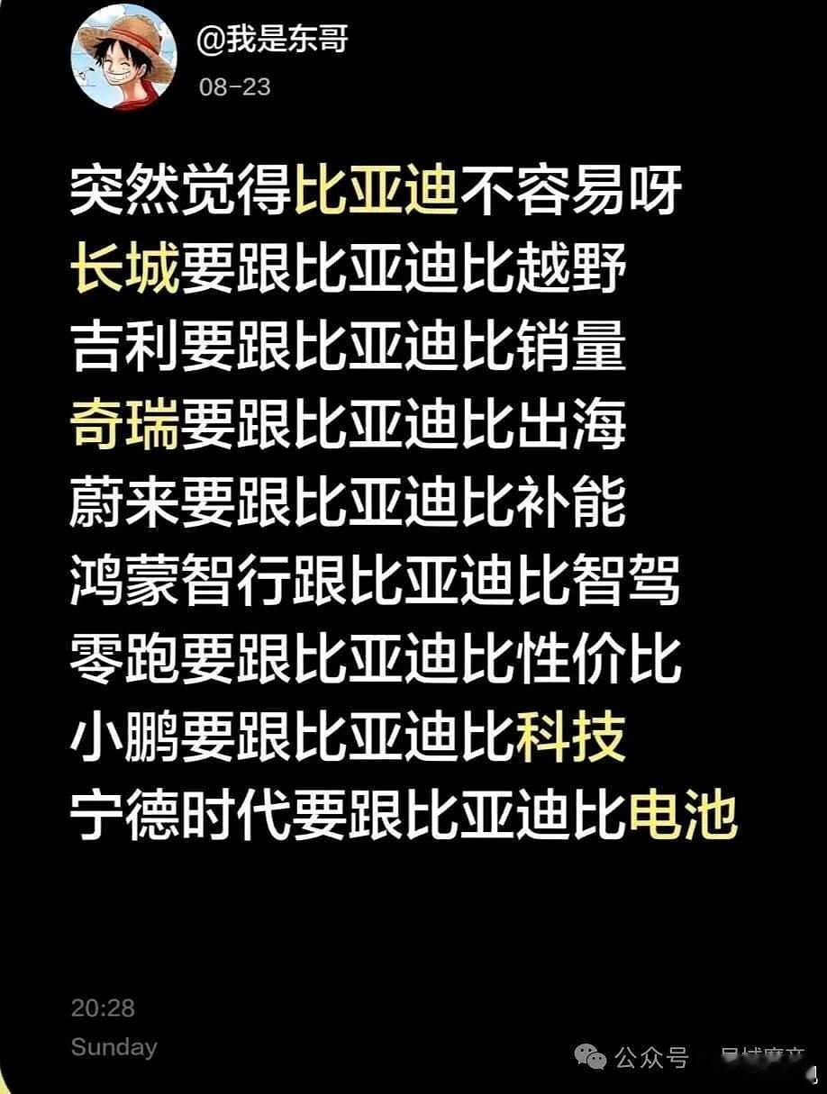 所以新能源车都和比亚迪对比，为啥不选比亚迪？？[哈哈][哈哈][哈哈]这不是证明