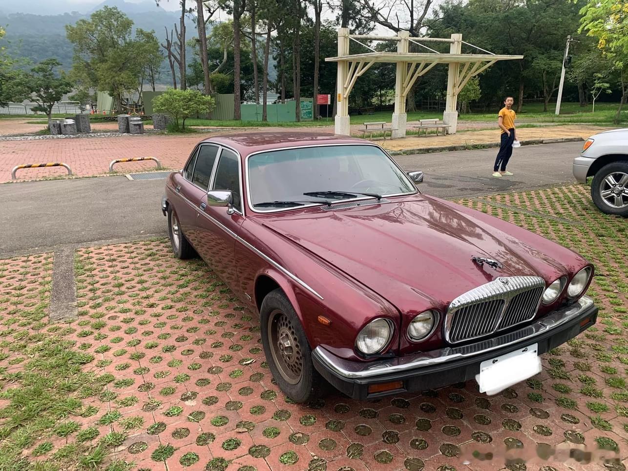 #台湾老车#🇬🇧Daimler V12老豹[給力] ​​​