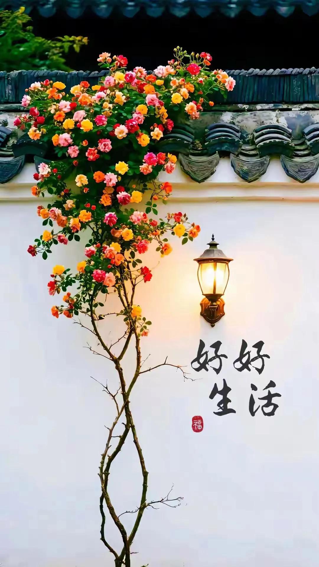 我曾经曾经在生活中遇到困难和挫折每天都在患得患失中度过，觉得老天对我不公平，感觉
