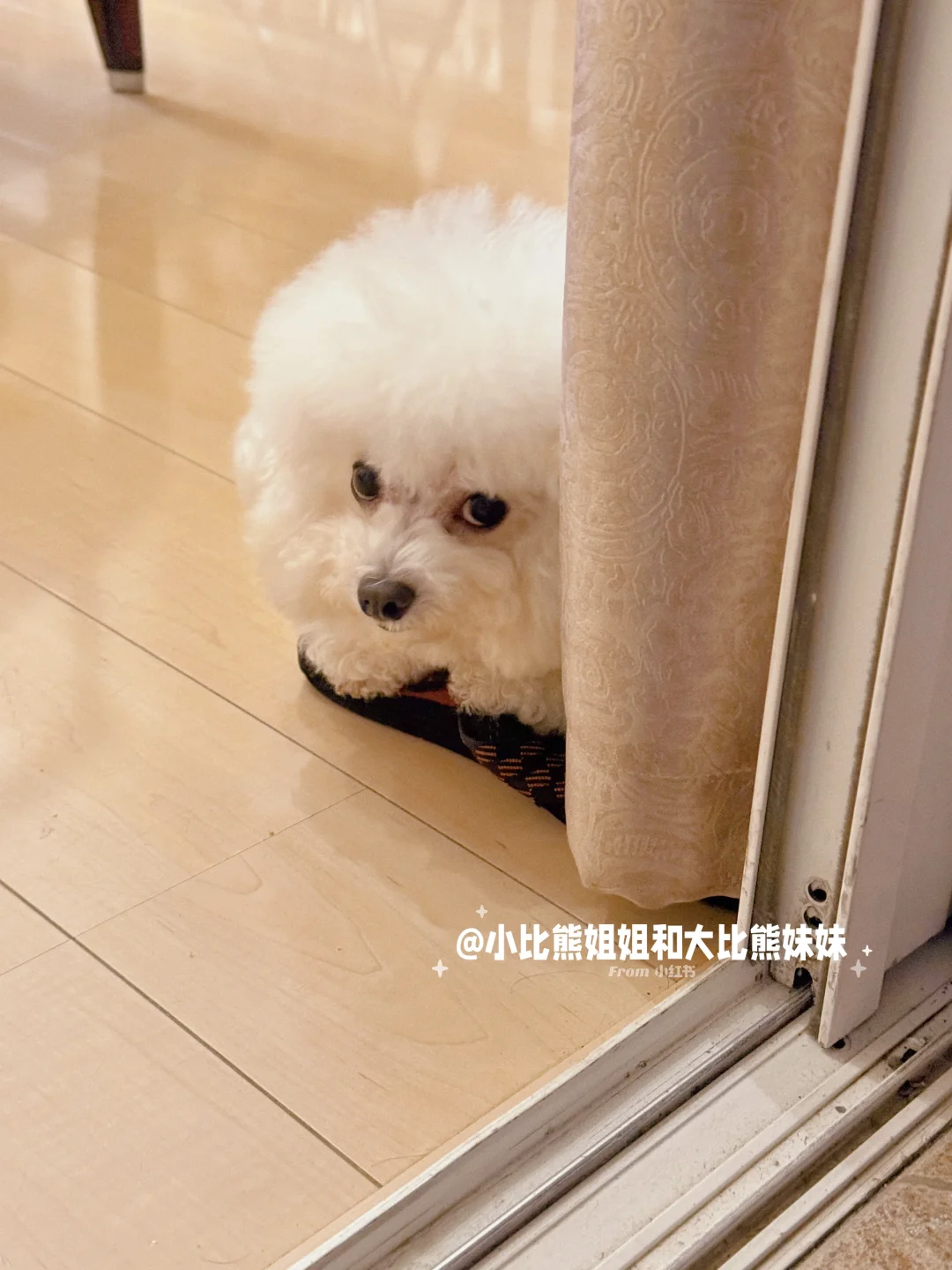 【Umi&Milky】刚打架完喘口气的修勾