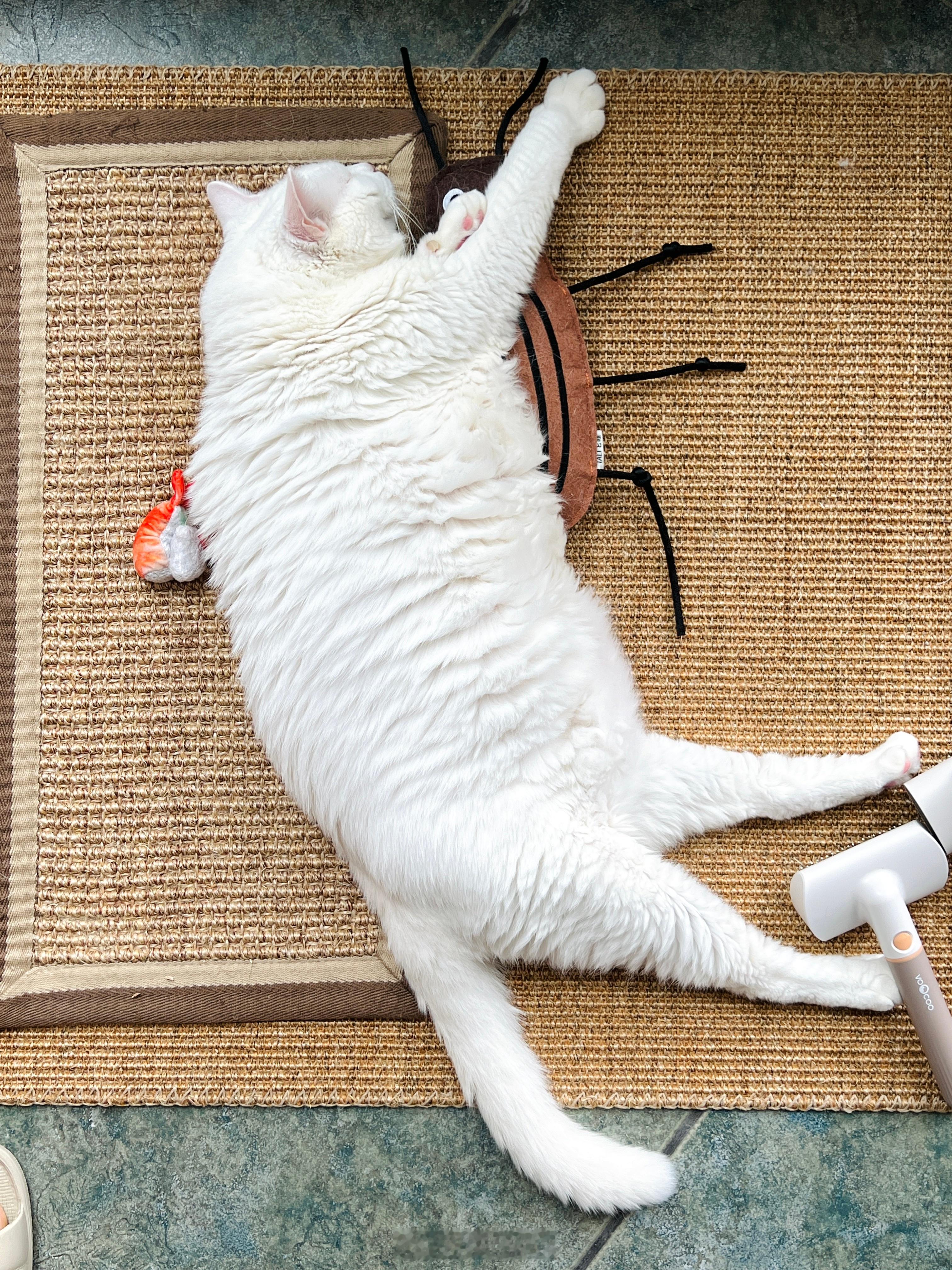 老吉的午休時間 ​​​