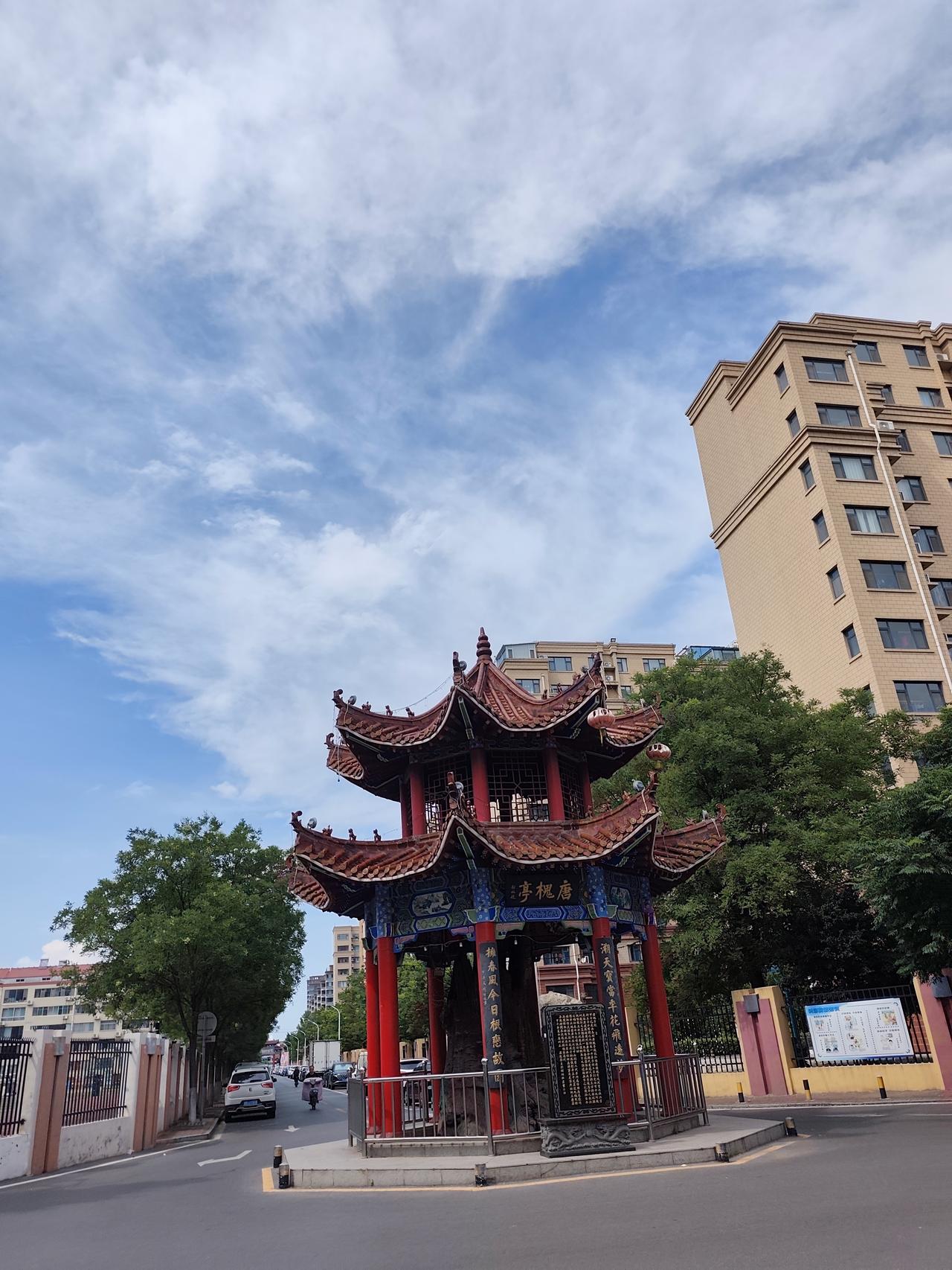 【打卡不互】晒一晒手机里的自然风景
夏日炎炎，路过这个亭子时，天蓝的正好，风吹枝