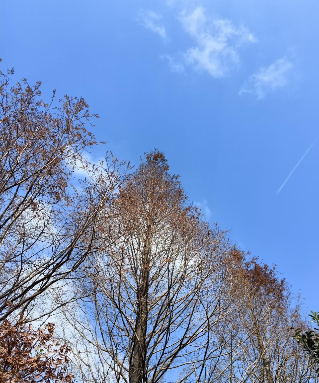 银行股“压舱石”失灵？4.2元抄底民生银行，跌到3.8元浮亏8000元，姑父点醒