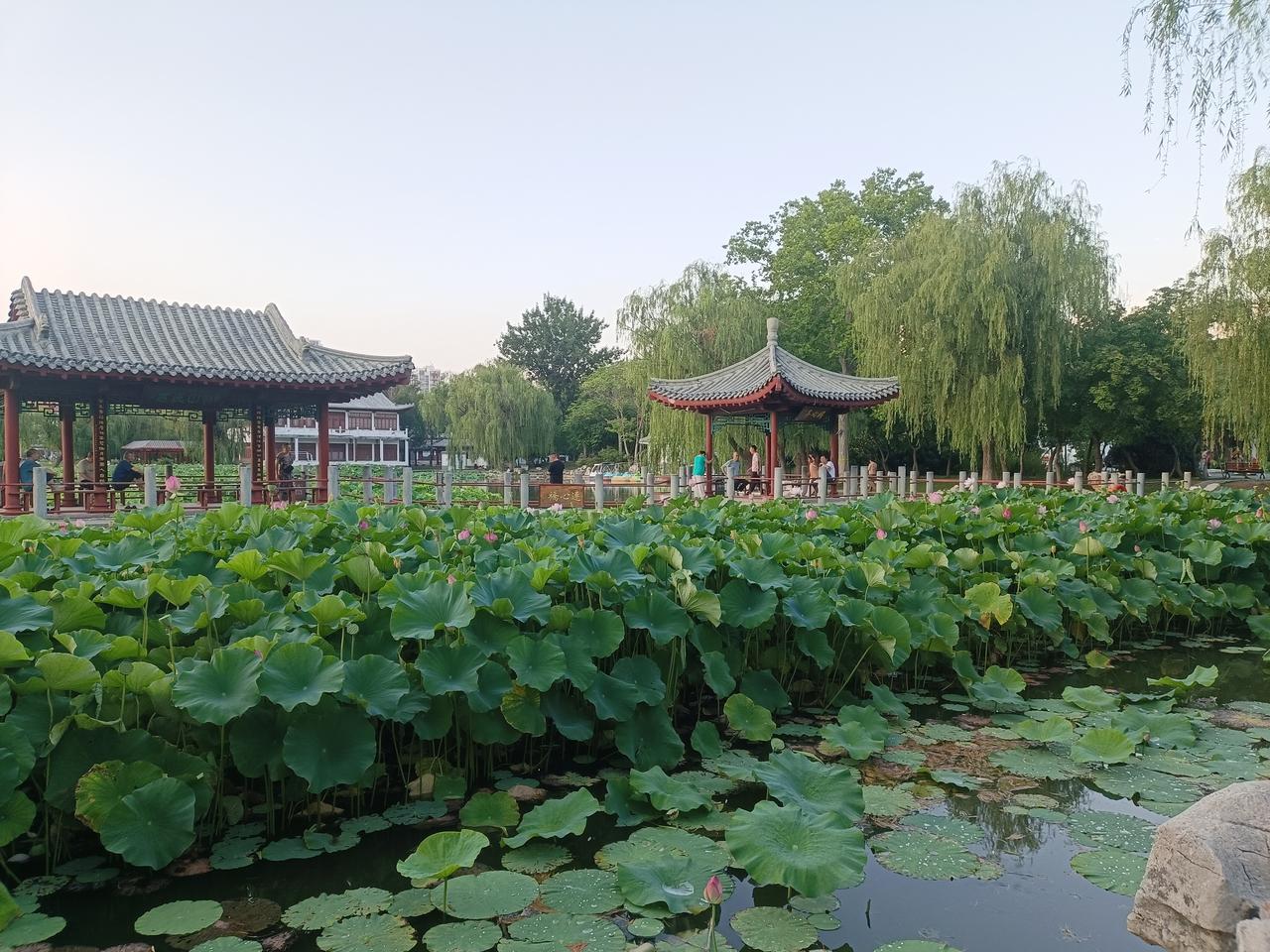 学形意拳的也不影响你走趟泥步，
练八卦掌的也不影响你走鸡步，
不要看名称，
要看