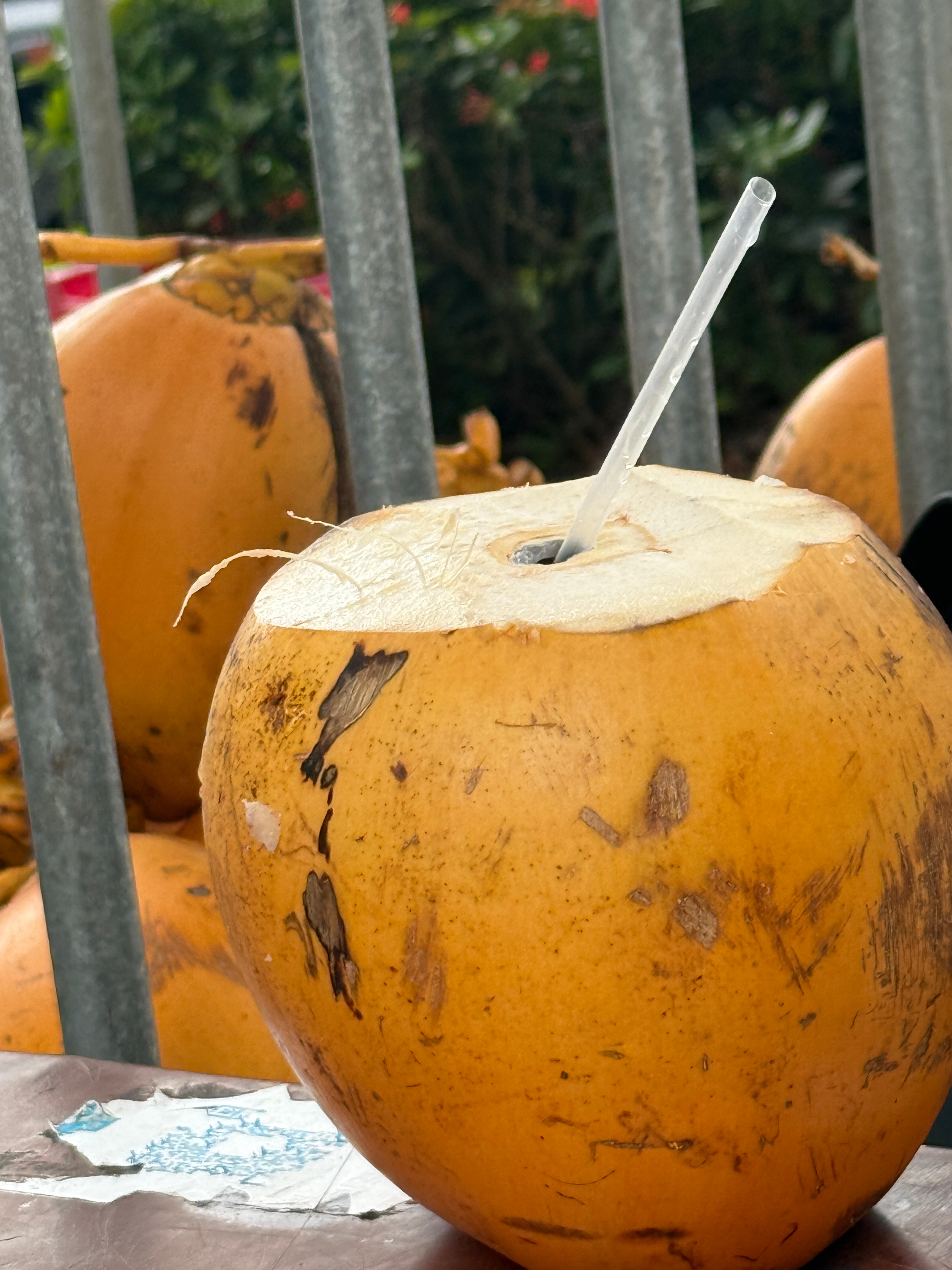 睡醒吃了早餐，喝个椰子