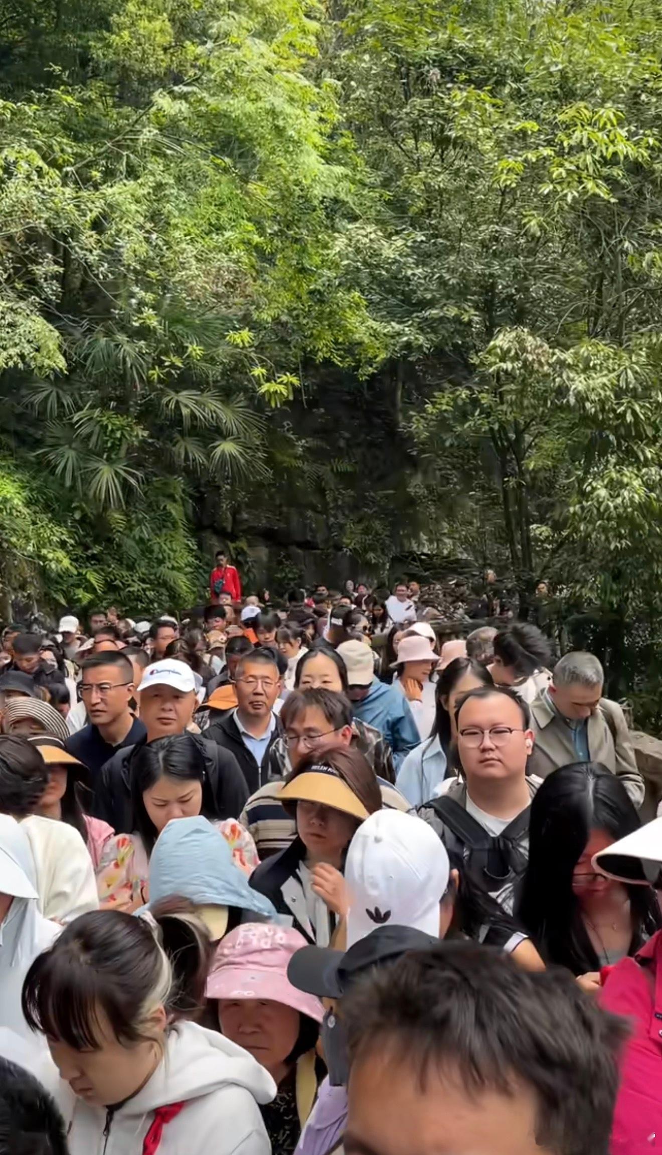 五一排队现状看网友发的图，各大知名景点和高铁站里面全是人，夜爬泰山的朋友只能睡通