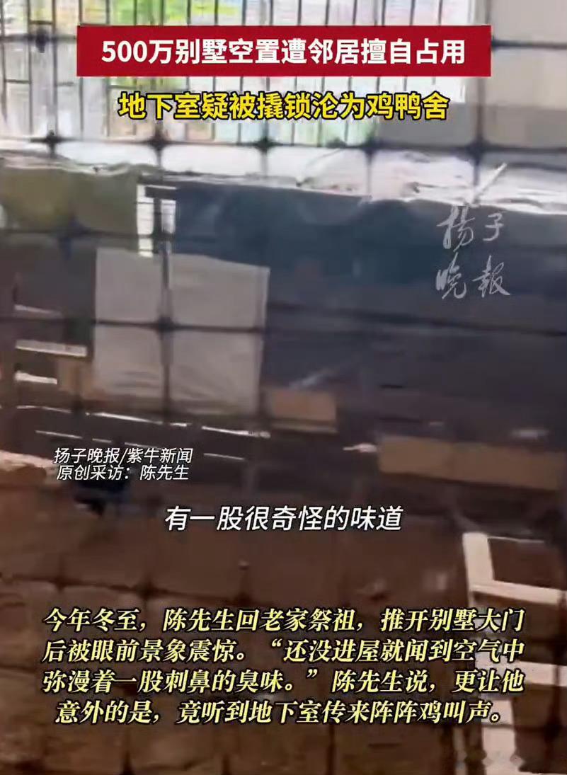 民事层面：邻居构成无权占有+故意侵权，应承担腾退、修复、赔偿（清理/翻新/消杀/