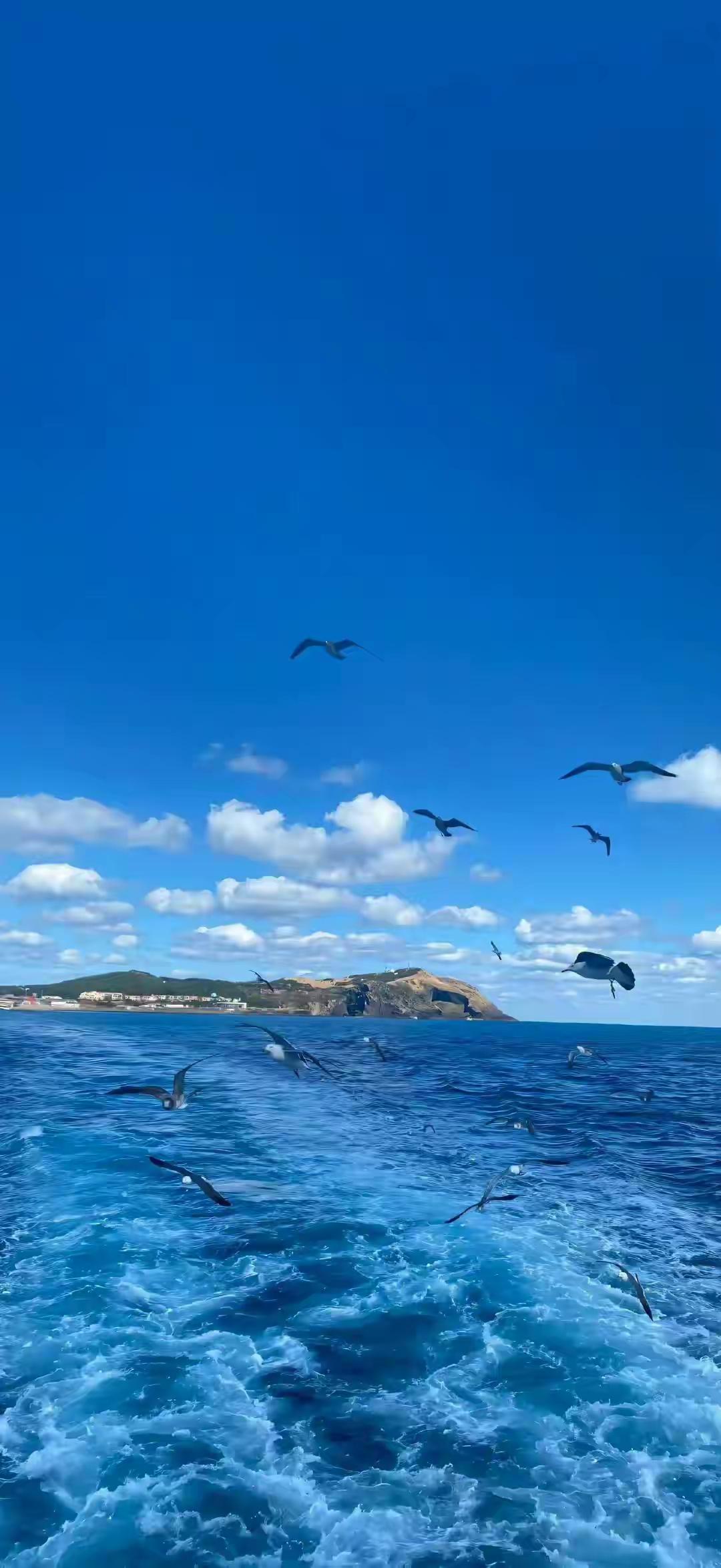 性格会决定人生吗

性格决定命运？别被这句话骗了！🔥

你是不是也常听人说“性