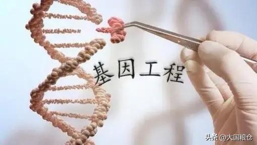 什么样的大豆是转基因的呢2026年2月27日，欧盟委员会批准了两种转基因作物（1