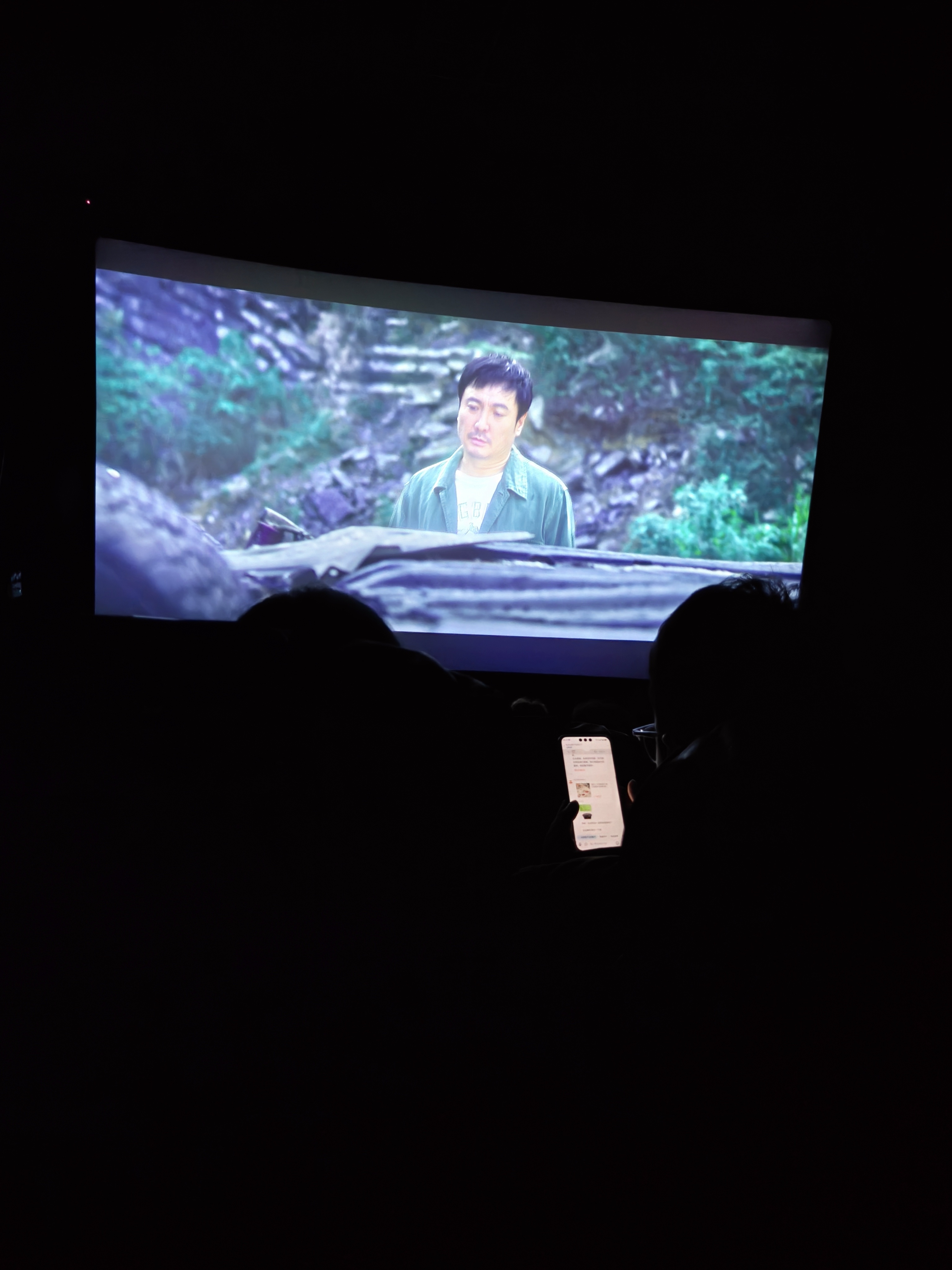 最怕在电影院看电影的时候，视野范围之内有人一直在玩手机。 