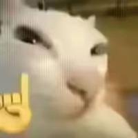 你也醒了？真是的，没必要为了追我也这么早起床的，我目前还没有恋爱的打算，抱歉 