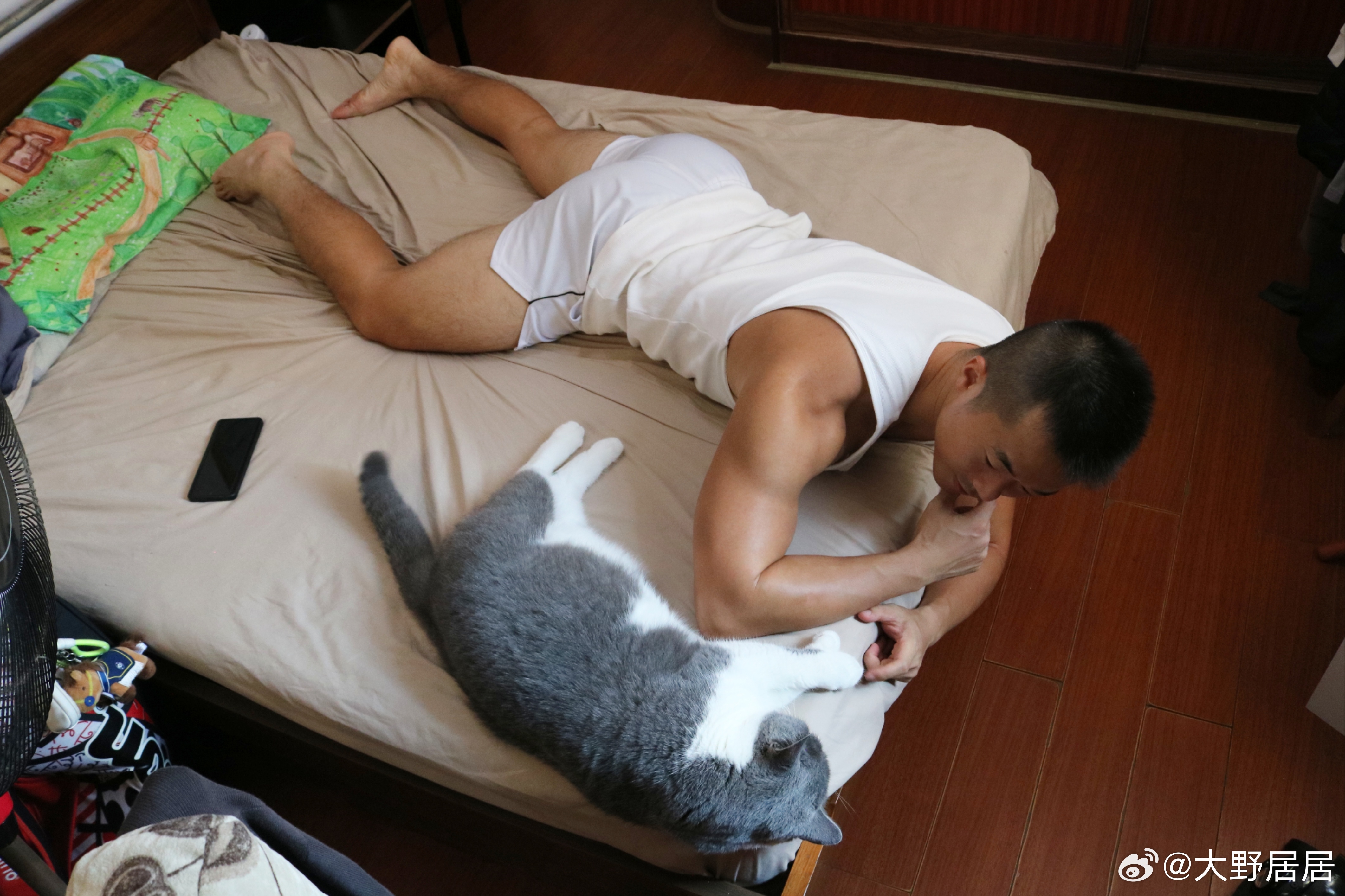 不想去上班想在空调房里和猫咪鬼混一整天外面好晒啊啊啊 