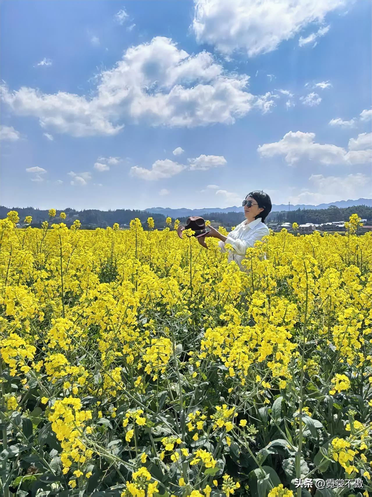 油菜花开暖洋洋