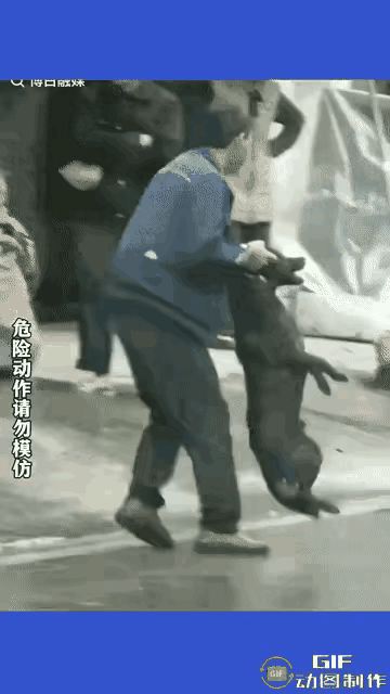 狗的主人后悔了，
但是现在后悔没有用了。
因为他没有拴狗绳，
所以，他害了自家的