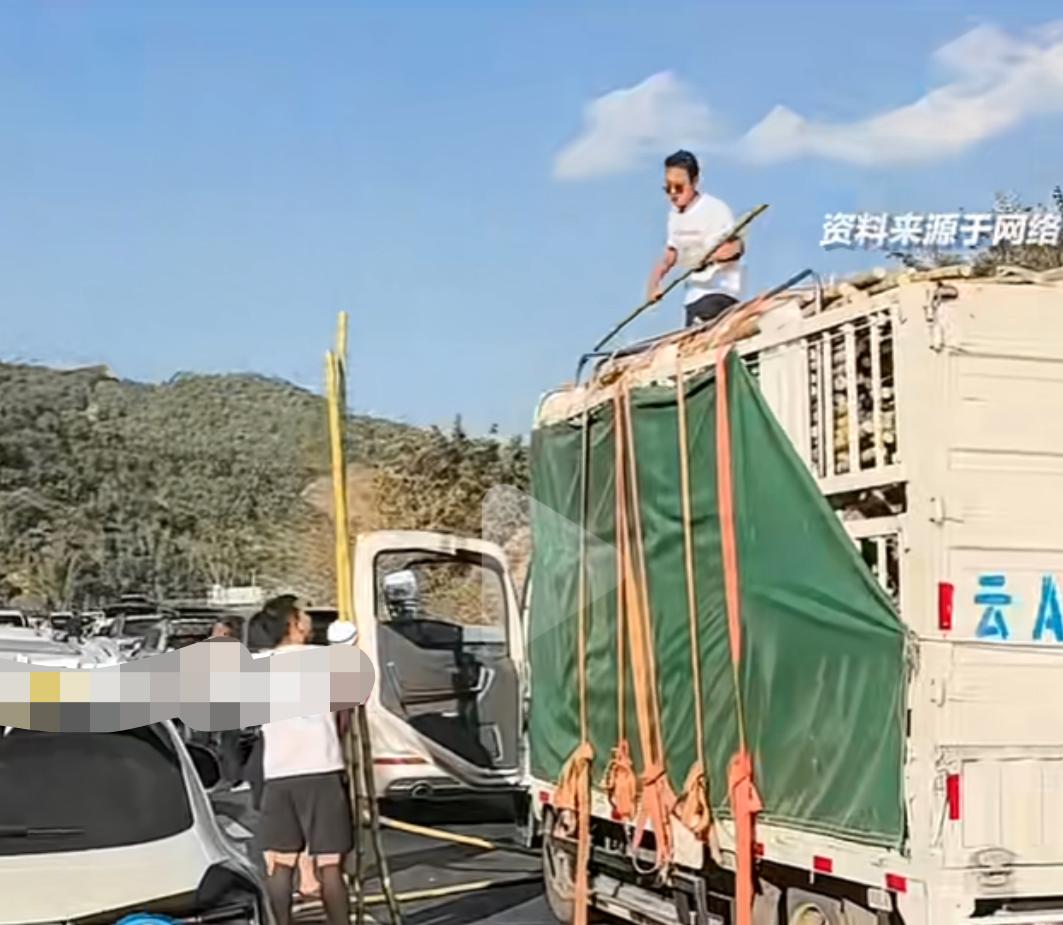 给大家个商机:高速堵车，甘蔗货车原地卖甘蔗，10元一根，有人一口气买了五根，有人