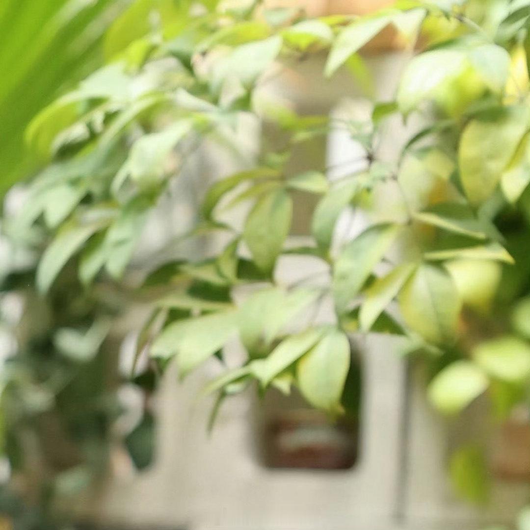陈奕恒💜陈奕恒林清源 💜陈奕恒 四代第一全能制作人 我们要想心系祖国就一定要