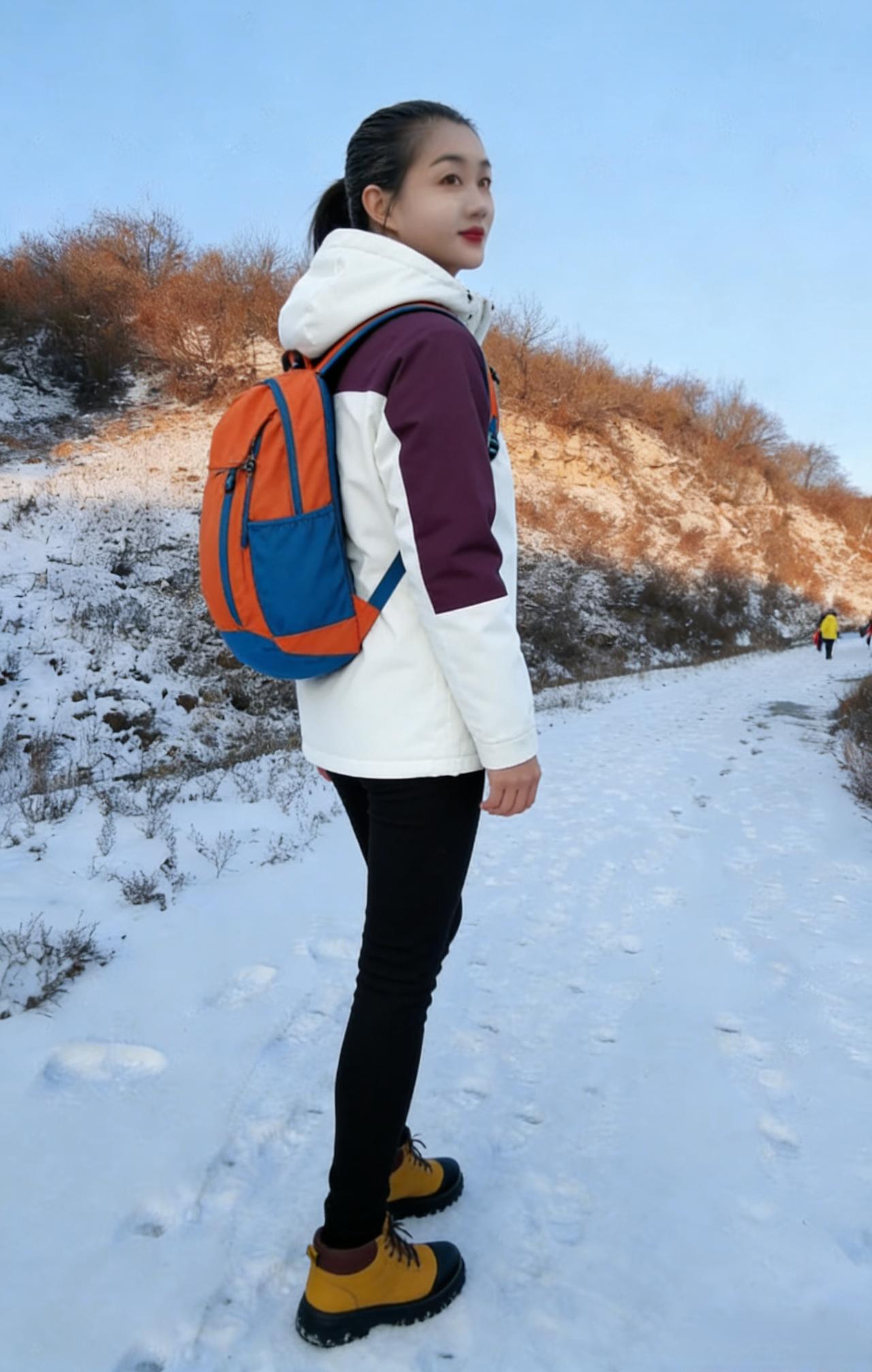 雪径把脚步轻收
冲锋衣裹住山野的烈风
紫白拼接的色块
在枯黄与雪白间站成坐标
 