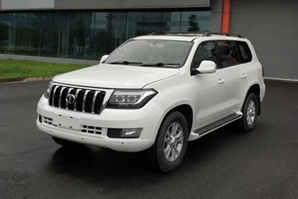这是个什么玩意？4.6L大V8