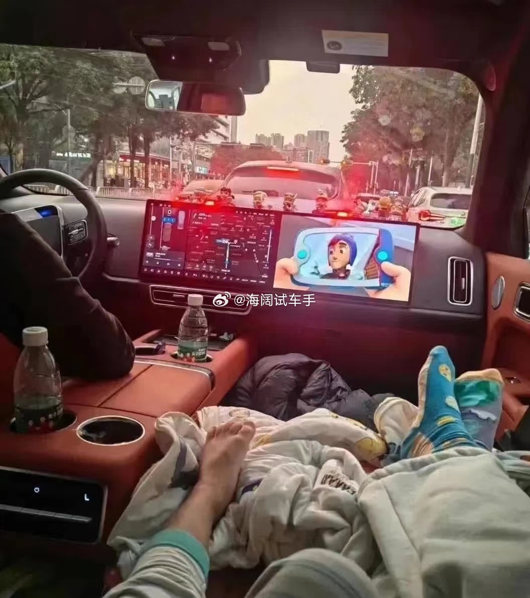 2月轿车销量前十五名里，只有两款新能源车~~~其余十三款车都是老旧燃油车~~~ 