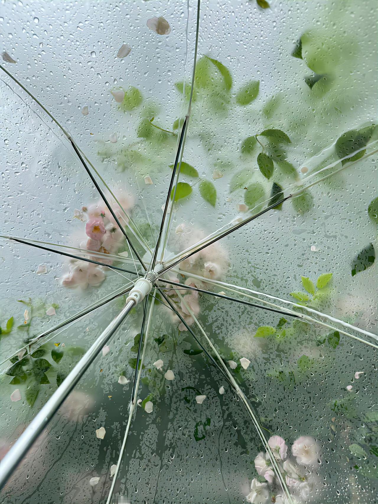 宋太宗赵光义心里肯定很苦，自己继承皇位因为烛影斧声一直被怀疑是否是正当继承，人家