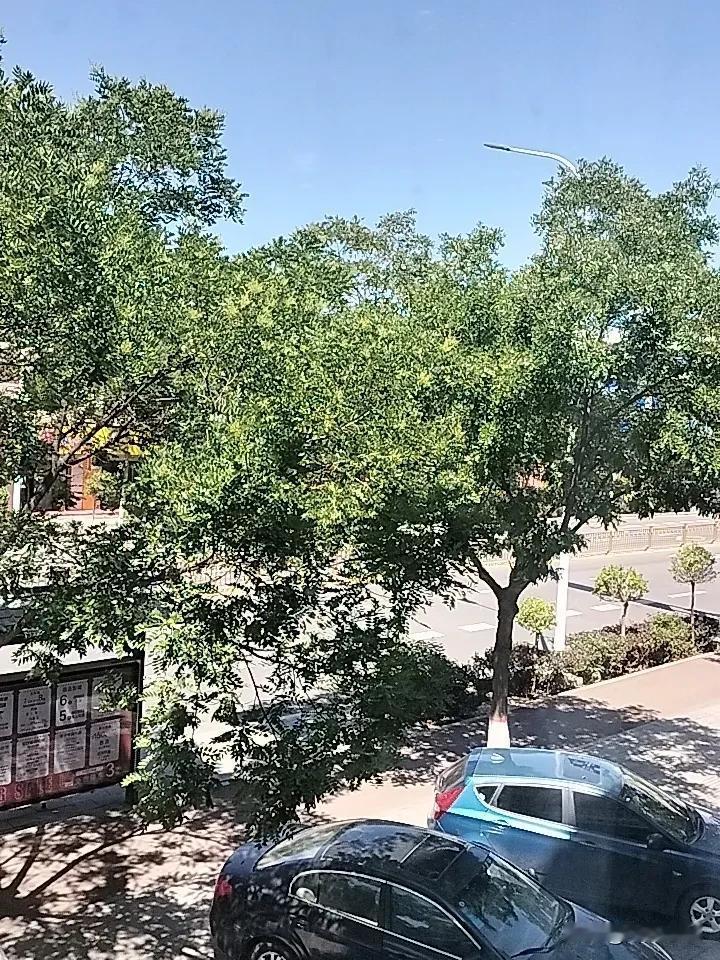 今天中午吃饭我差点把餐桌给掀了！三天前我给儿子安排好了暑假学习的计划，英语差我就