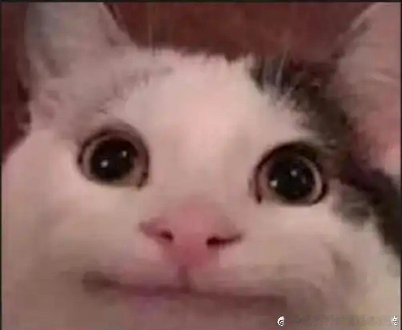 闫学晶完了，人厌狗嫌了，2026年算是凉透了 