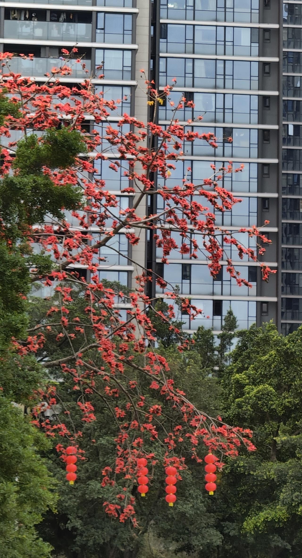 评论区有些人真搞笑，我写微头条使用普通话的拼音就说我是外地人，捞头，所有60后，
