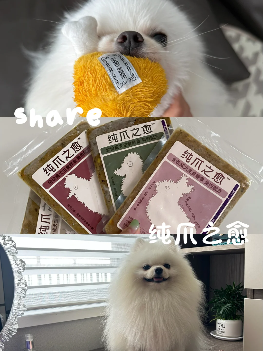 狗狗鲜食分享！挑食小肉丸近期爱吃😋