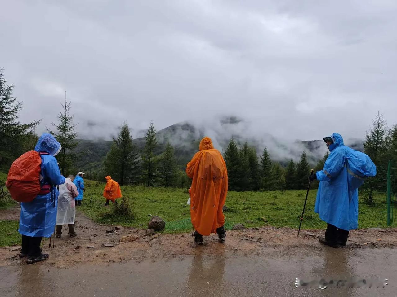 雨中徒步五台
​已经二十多天没有徒步了，今天带队徒步五台拉练，为冈仁波齐转山活动