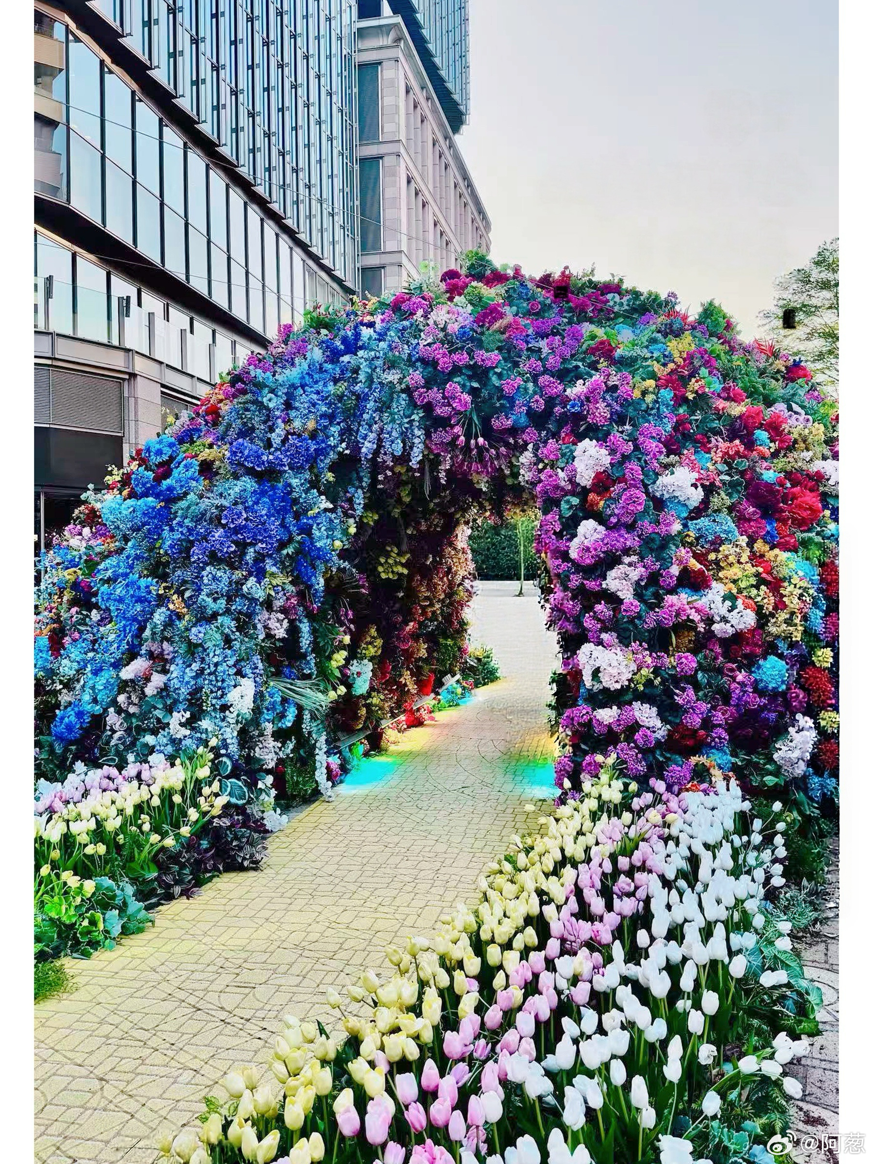 接！好事发生，步步花路🌸。 ​​​