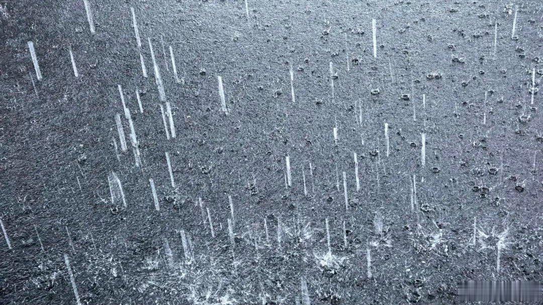 早上出门，雨已经下得有点不讲道理了。地铁里全是湿漉漉的伞尖和鞋印，大家默契地缩着