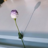小迟到爱玩科技