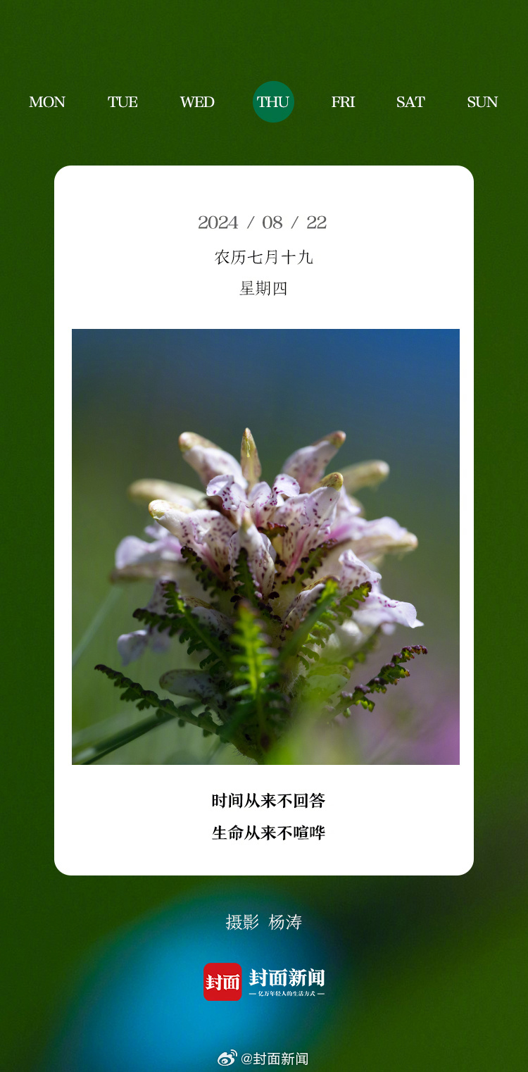 #小封日历# 早安，周四啦！今天叫醒你的是_____？[哈哈] ​​​