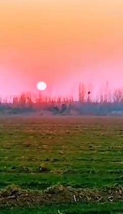 你知道人为什么不能闲吗？因为人闲生烦恼，地闲生杂草，身闲生杂事，心闲生杂念。正所